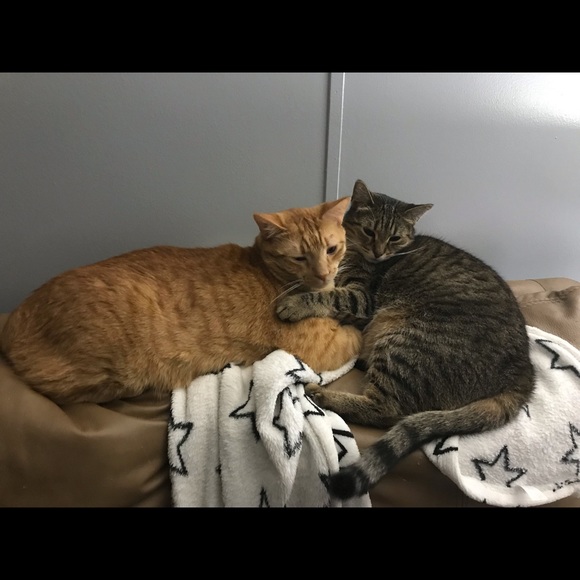 Meet your Posher, Jan - Picture 7 of 7